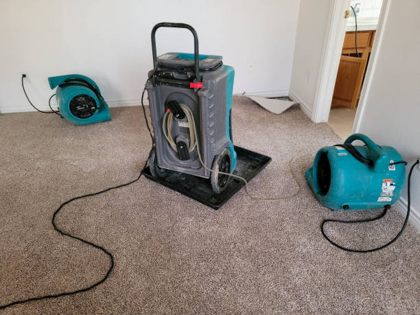 Best Water damage restoration cost  in Fort Pierce North, FL