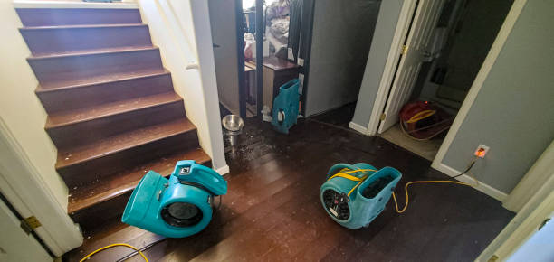 Best Water damage restoration near me  in Fort Pierce North, FL