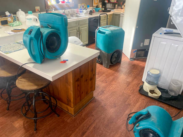 Best Flood restoration services  in Fort Pierce North, FL