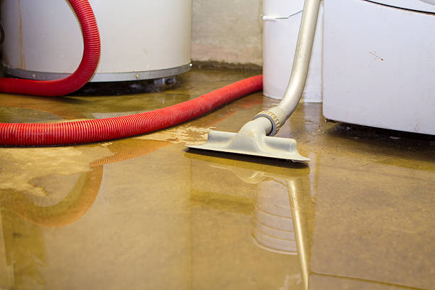 Best Water damage contractors near me  in Fort Pierce North, FL