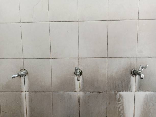 Best Emergency water damage restoration  in Fort Pierce North, FL