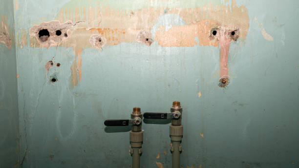 Best Sewage cleanup and water damage restoration  in Fort Pierce North, FL
