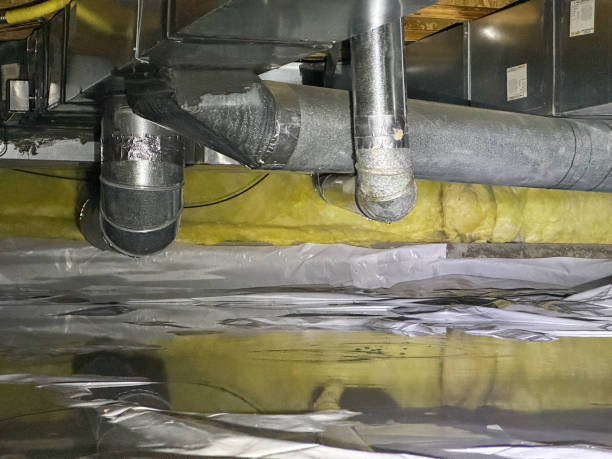 Best Water damage cleanup near me  in Fort Pierce North, FL