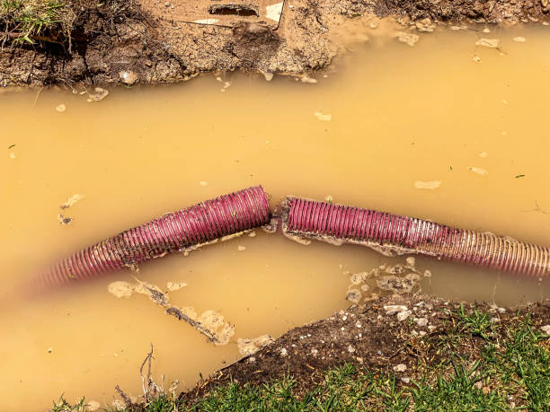Best 24/7 water damage repair  in Fort Pierce North, FL